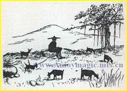 Chinese goatherd