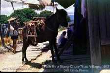 Siang-chun Thau Village, Tong'an 1947