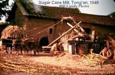 Sugar cane mill in Tong'an 1948