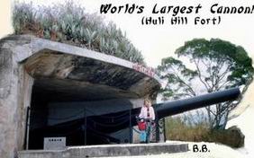 The Chinese coastal cannon, in Xiamen's Huli Hill fort, is the largest cannon in the world!