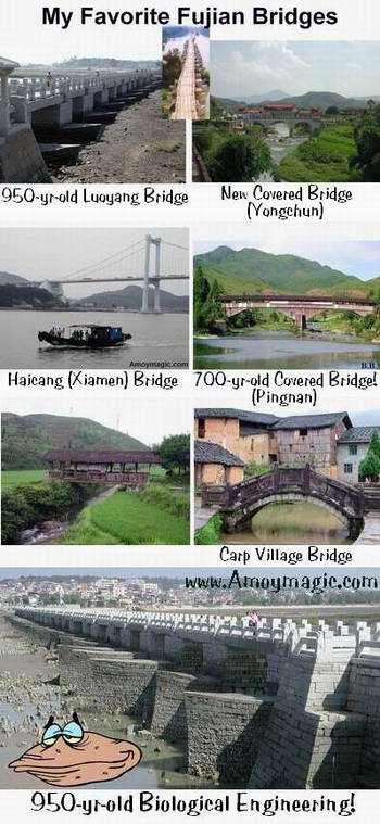 My favorite Fujian Province bridges--I especially love Fujian's wooden covered bridges, many of which are several stories high and house many families--as well as the bridge gods.