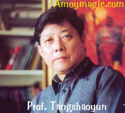 Photo of Xiamen University Professor Tang  Shaoyun