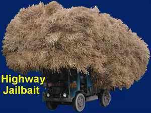 Highway Jailbait!  Farm vehicles crawl down the middle of the road, but if you pass them you get ticketed