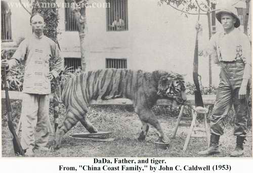 Photo of Father Caldwell, Dada, and the tiger he shot
