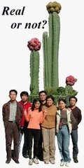 Is this cactus real?   Visit and see!
