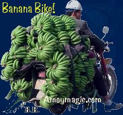 Banana Bike--hundreds of pounds of bananas on this motorcycle!  Amoy Magic--Guide to Xiamen and Fujian.  Http://www.amoymagic.com  