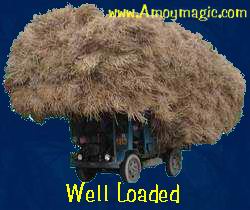 Hay Wagon--well loaded!  Amoy Magic--Guide to Xiamen and Fujian.  http://www.amoymagic.com