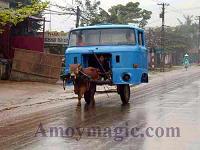 One Cowpower Taxi