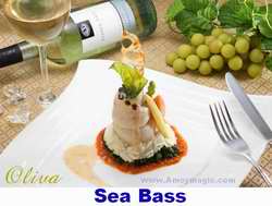 Oliva Sea Bass