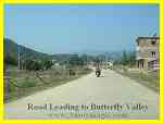 Good roads lead all the way to the last 1km to butterfly valley, Tong'an