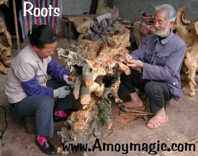elderly couple carving roots
