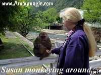 Sue monkeying around with the monkeys at the Wuyi Mountain Natural Preservation Area  
